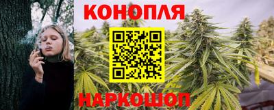 гашик Коммунар